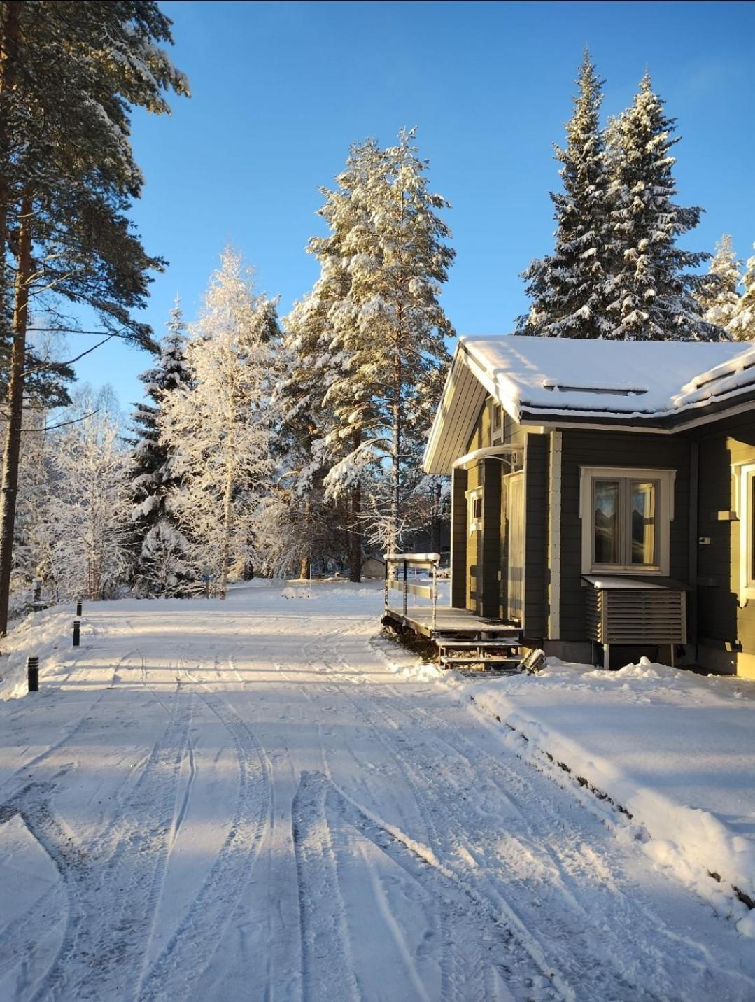 Villa Aleksi With Sauna Rovaniemi Exterior photo